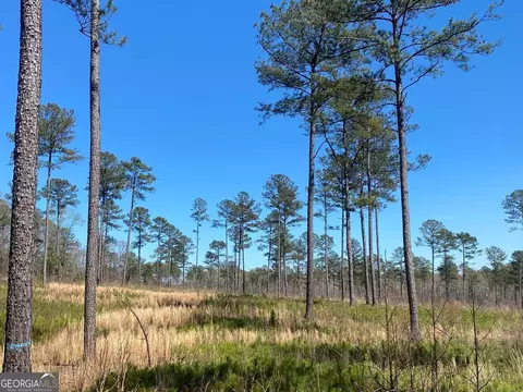 717 Giles Rd, Forsyth, GA 31029