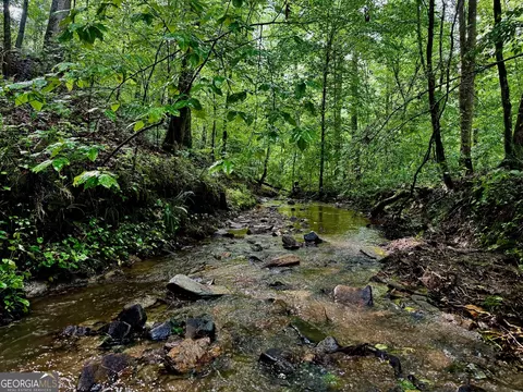 0 Hwy 136, Talking Rock, GA 30175