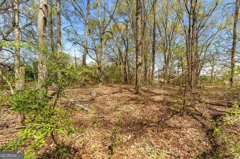 0 Fourth Ave E, Colbert, GA 30628 photo 7