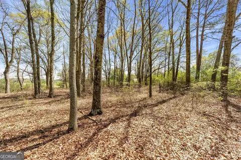 0 Fourth Ave E, Colbert, GA 30628 photo 6