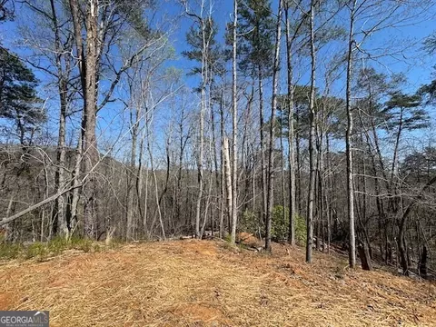 Other - 183 Jack Pinyon Rd, Jasper, GA 30143 photo 9 of 12