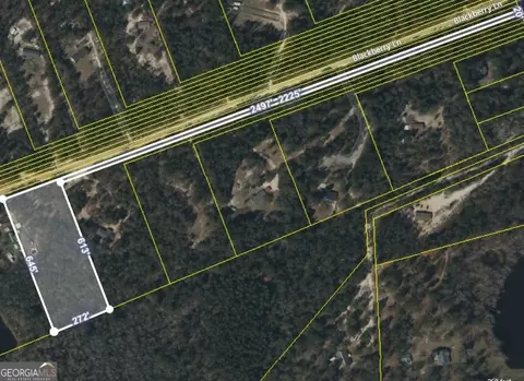 162 Blackberry Ln, Augusta, GA 30906