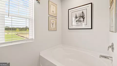 Bath - 12090 Conrad Cir, Hampton, GA 30228 photo 2 of 3