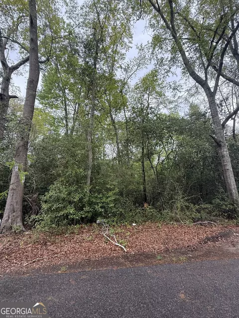 0 Ash Aly, Danville, GA 31017