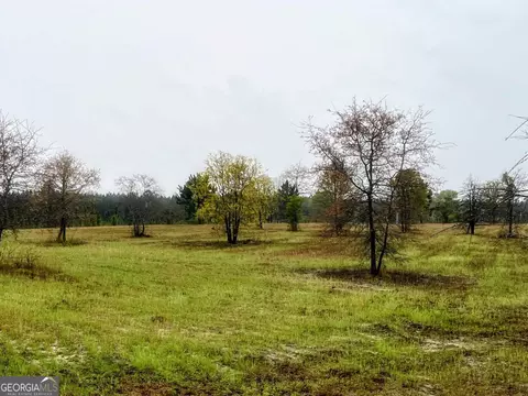 0 Guy Weatherly Rd, Cadwell, GA 31009