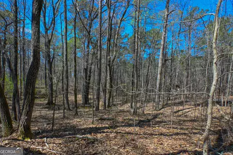 0 Mill Ridge Dr, Monroe, GA 30655 photo 5