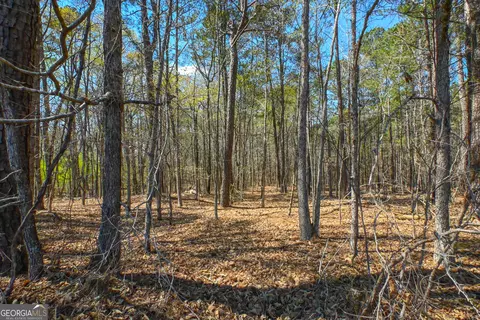 0 Mill Ridge Dr, Monroe, GA 30655 photo 4
