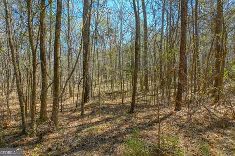 0 Mill Ridge Dr, Monroe, GA 30655 photo 3