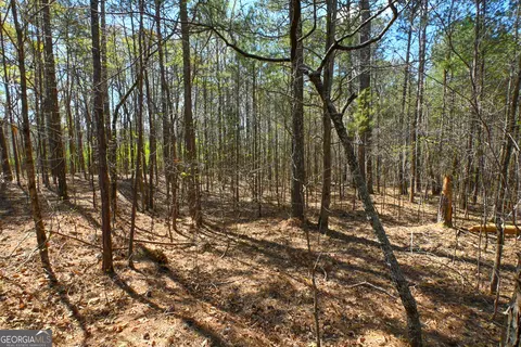 0 Mill Ridge Dr, Monroe, GA 30655 photo 6