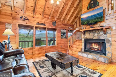 Living - 20 Dean Ct, Cherry Log, GA 30522 photo 2 of 3