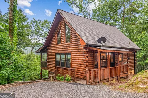 Exterior - 20 Dean Ct, Cherry Log, GA 30522 photo 10 of 14