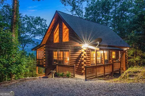 Exterior - 20 Dean Ct, Cherry Log, GA 30522 photo 1 of 14