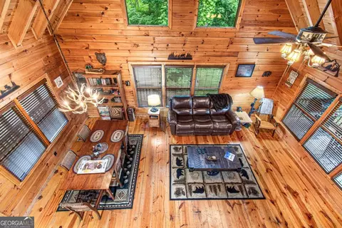 Living - 20 Dean Ct, Cherry Log, GA 30522 photo 3 of 3