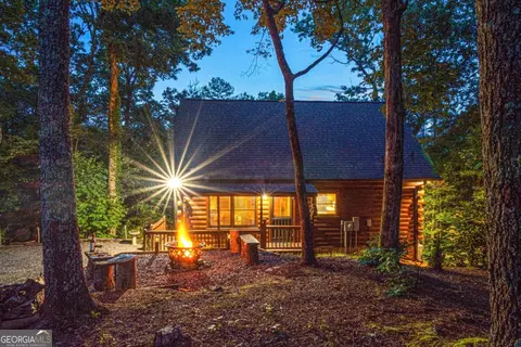Exterior - 20 Dean Ct, Cherry Log, GA 30522 photo 4 of 14