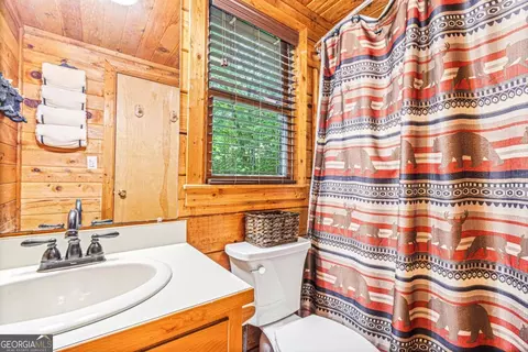 Bath - 20 Dean Ct, Cherry Log, GA 30522 photo 2 of 4