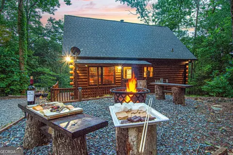 Exterior - 20 Dean Ct, Cherry Log, GA 30522 photo 5 of 14