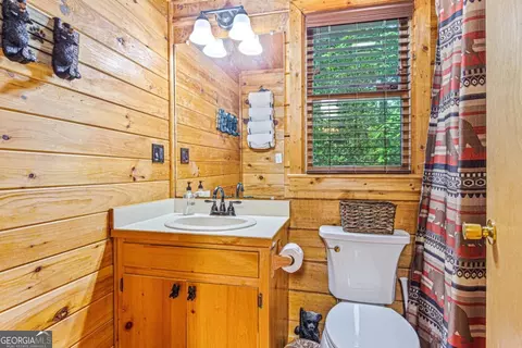 Bath - 20 Dean Ct, Cherry Log, GA 30522 photo 3 of 4