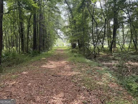 19 W 5 Acres W S Highway 17, Townsend, GA 31331