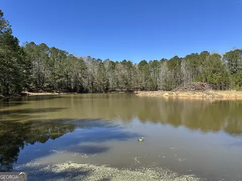 160 29 Acres Carl Mathis Rd, Talbotton, GA 31827