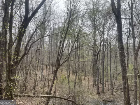 0 Bevis Rd Parcel 4, Franklin, GA 30217