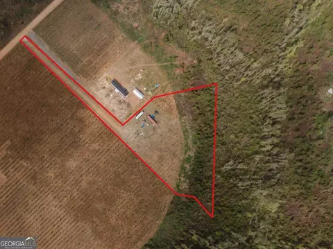 2164 Sellers Rd, Baxley, GA 31513