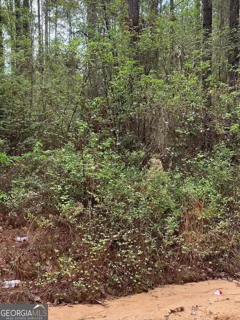 lot3 Coleman Chapel Rd, Swainsboro, GA 30401