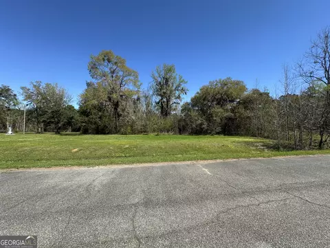 31 Turkey Ridge Ln, Quitman, GA 31643