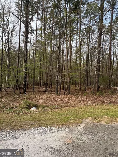 L 263 Orchid Way, Sparta, GA 31087