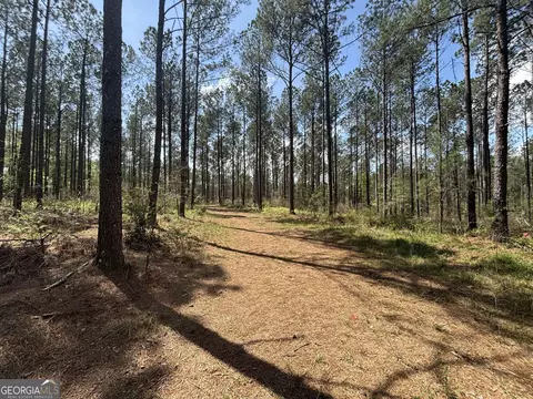 0 Parks Mill Ln, Buckhead, GA 30625 photo 18