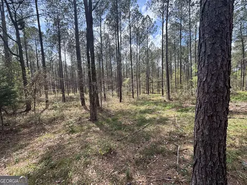 0 Parks Mill Ln, Buckhead, GA 30625 photo 6