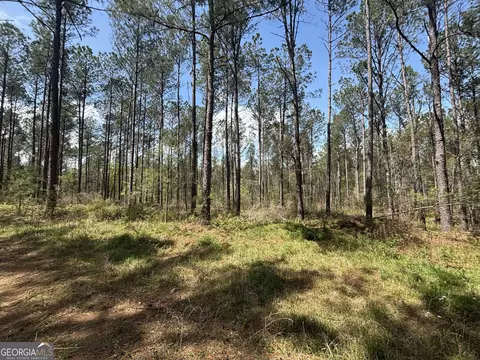 0 Parks Mill Ln, Buckhead, GA 30625 photo 5