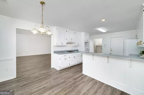249 Edenwylde Ct, Hampton, GA 30228 photo 17