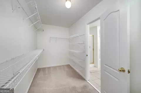 249 Edenwylde Ct, Hampton, GA 30228 photo 25