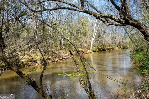 0 Shake Rag Rd #TRACT 3, Pine Mountain, GA 31822 photo 9