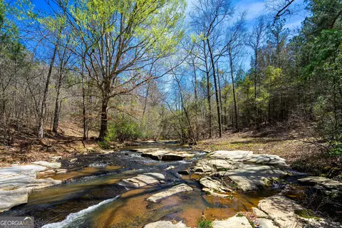 0 Shake Rag Rd #TRACT 3, Pine Mountain, GA 31822 photo 11