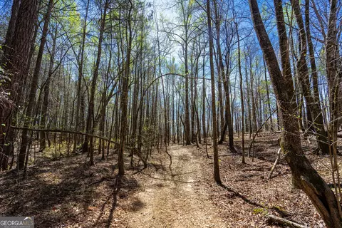 0 Shake Rag Rd #TRACT 3, Pine Mountain, GA 31822 photo 7
