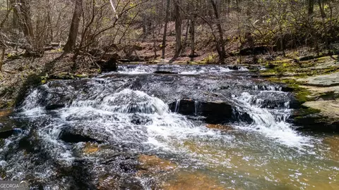 0 Shake Rag Rd #TRACT 3, Pine Mountain, GA 31822 photo 14