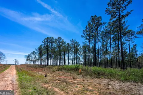 0 Shake Rag Rd #TRACT 3, Pine Mountain, GA 31822 photo 4