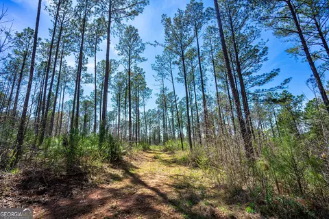 0 Shake Rag Rd #TRACT 2, Pine Mountain, GA 31822 photo 11