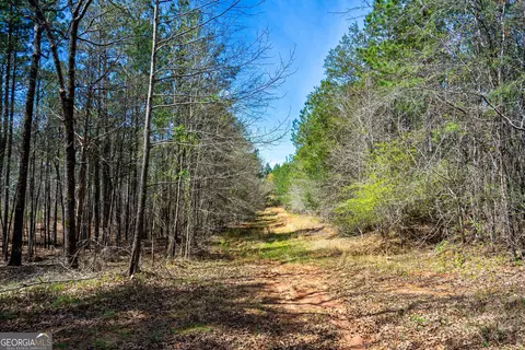 0 Shake Rag Rd #TRACT 2, Pine Mountain, GA 31822 photo 9