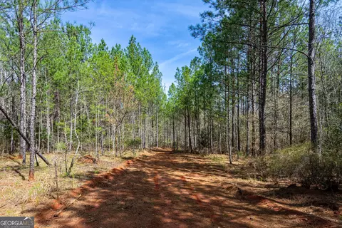 0 Shake Rag Rd #TRACT 2, Pine Mountain, GA 31822 photo 7