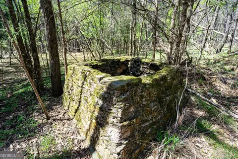 0 Shake Rag Rd #TRACT 2, Pine Mountain, GA 31822 photo 3