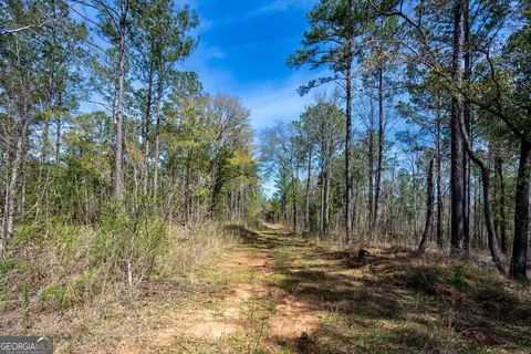 0 Shake Rag Rd #TRACT 2, Pine Mountain, GA 31822 photo 5