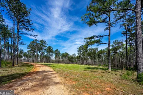 0 Shake Rag Rd #TRACT 2, Pine Mountain, GA 31822 photo 6