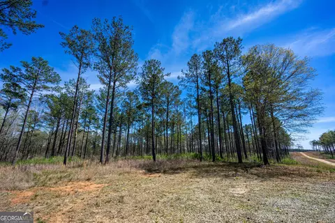 0 Shake Rag Rd #TRACT 2, Pine Mountain, GA 31822 photo 12