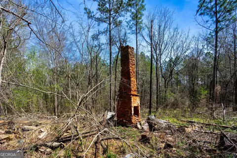 0 Shake Rag Rd #TRACT 2, Pine Mountain, GA 31822 photo 4