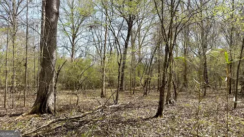 0 Stallings Rd, Haddock, GA 31033 photo 24