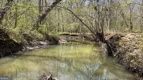 0 Stallings Rd, Haddock, GA 31033 photo 23