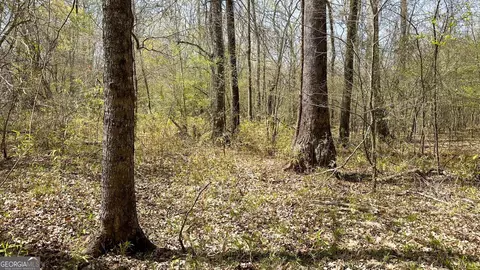 0 Stallings Rd, Haddock, GA 31033 photo 14