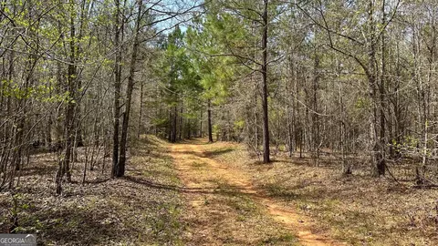 0 Stallings Rd, Haddock, GA 31033 photo 27